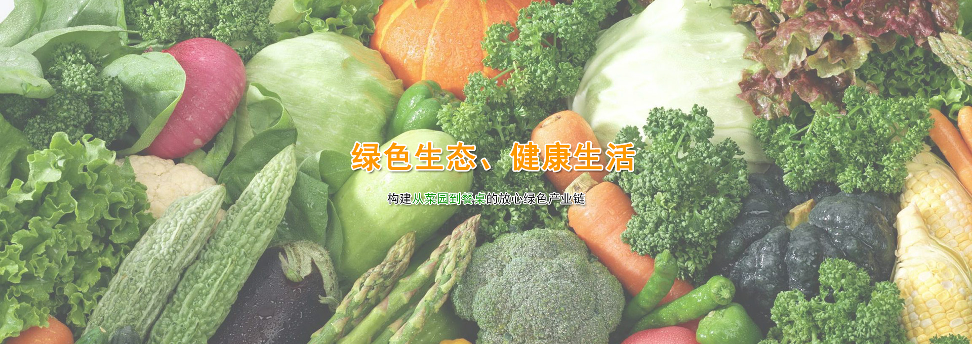 大圖2